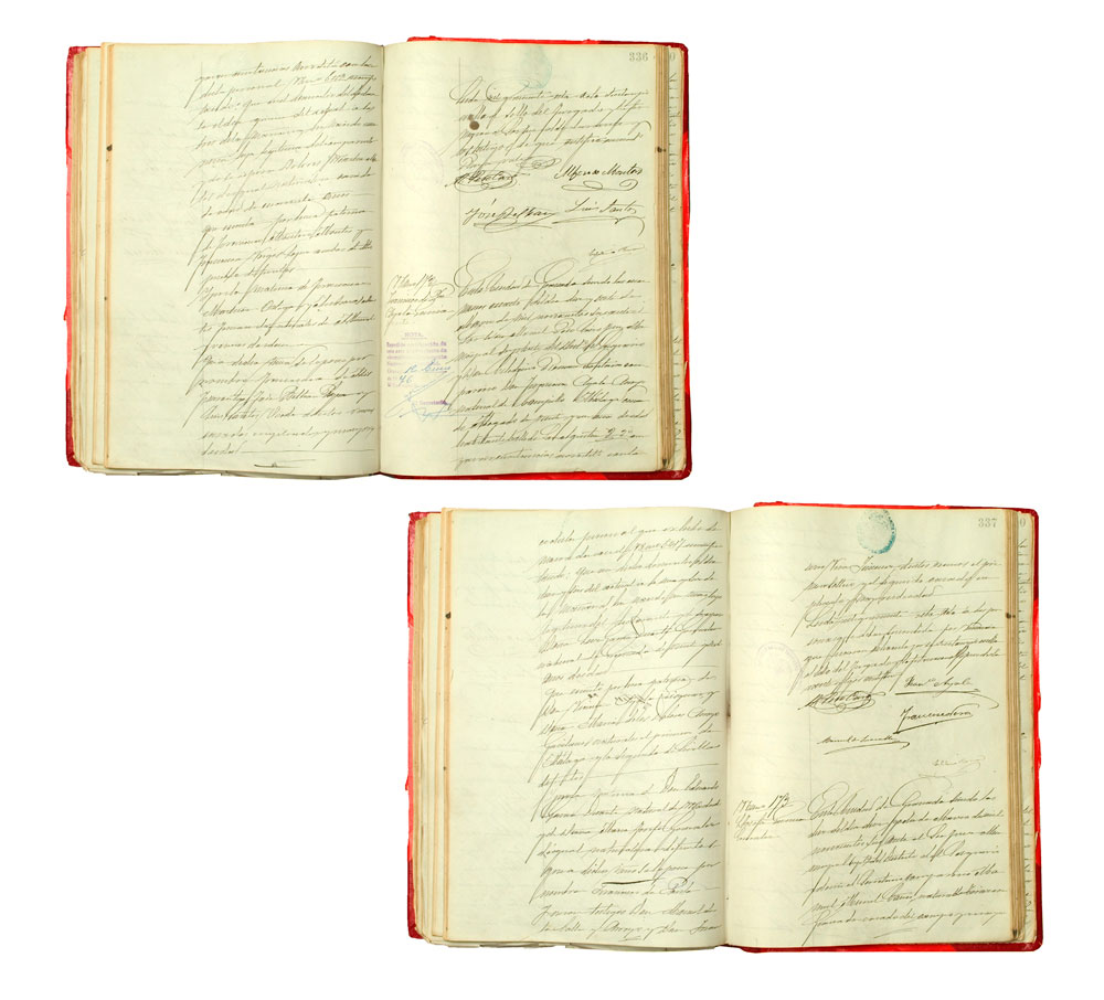 Inscripción del nacimiento de Francisco Ayala García-Duarte en el Registro Civil de Granada.